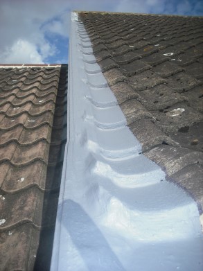 Roof edge sealed using Belzona 3111 (Flexible Membrane)